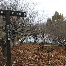 城池親水公園