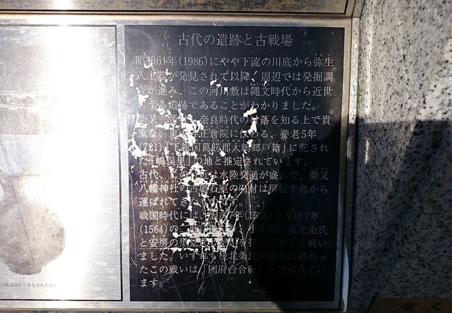 江戸川河川敷で４５０年以上前に国府台合戦がありました