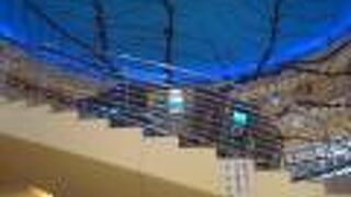 なしっこ館に大人ひとりで1時間。