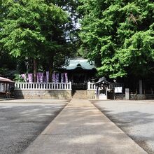 境内の風景