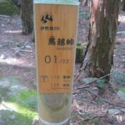 素晴らしい石畳道です！