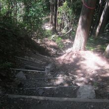 馬越峠からのルートは石畳道でなく普通の登山道っぽい風情です。