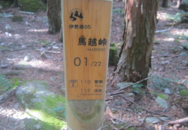 素晴らしい石畳道です！