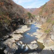 自然研究路の一部ですが、ここまでは頑張って行った方が良いです