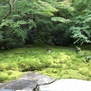 景色を見ながらのお茶菓子が美味しい