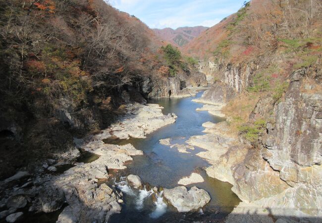 自然研究路の一部ですが、ここまでは頑張って行った方が良いです