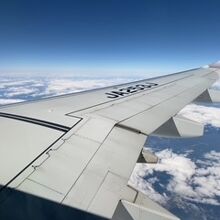 窓から見える様子です。