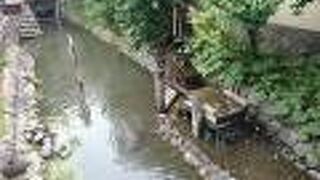 総延長は２３キロメートル