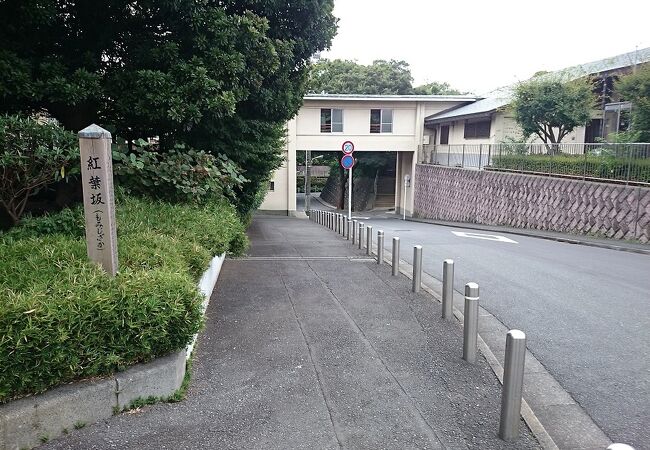 池上本門寺の大堂の裏側の坂道