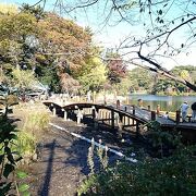 洗足池を中心とした大田区立の公園