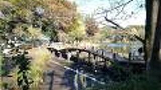 洗足池を中心とした大田区立の公園