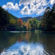 紅葉の頃はきれいです