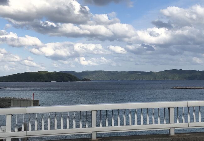 ここから、慶良間ブルーの海と、天然記念物の野生のケラマジカが見えました