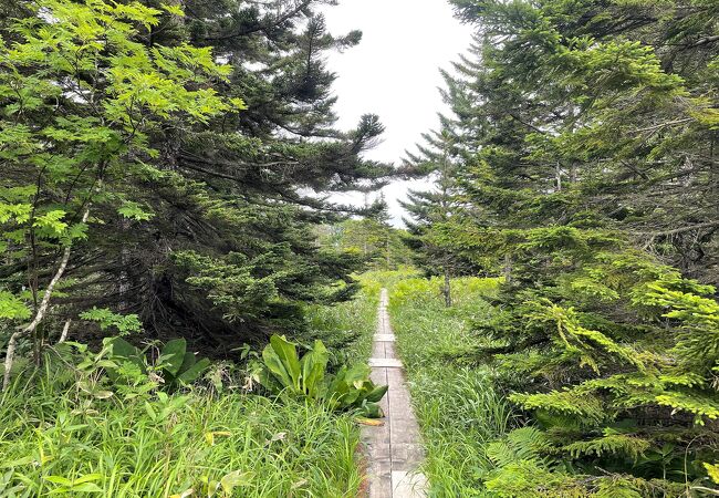 オタトマリ沼から２km！　足を延ばしてみては？