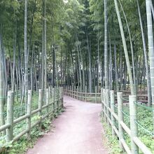 すずめのお宿緑地公園