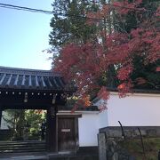 境内にある苔の絨毯は雨上がりでとてもしっとり