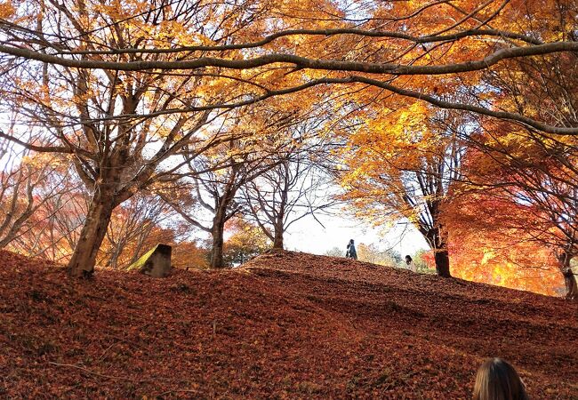 もみじ湖紅葉祭りへ