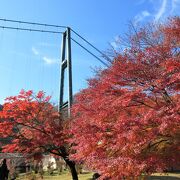 大吊橋の手前の紅葉が綺麗でした