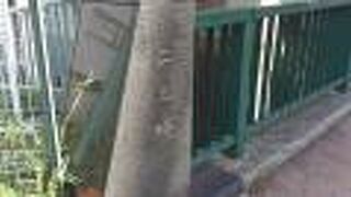 清澄通りが竪川を渡る時の橋