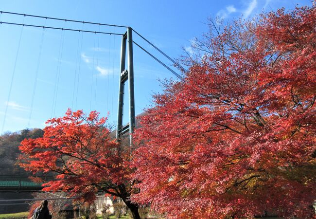 大吊橋の手前の紅葉が綺麗でした