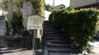 井戸時代の画家である伊藤若冲の墓があります。