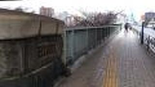 橋の上から東京スカイツリーが良く見えます