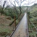 駿河平自然公園でお花見