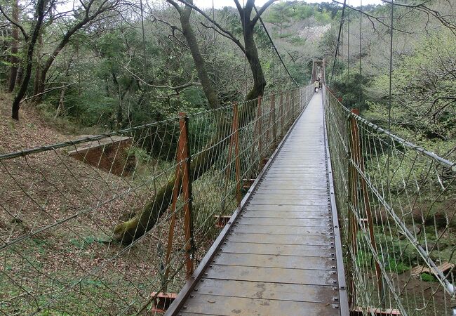 駿河平自然公園