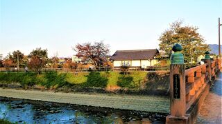 桜の名所 秋篠川の下極楽橋は擬宝珠の紅葉/黄葉が！