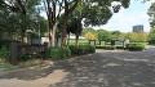 緑が多く気持ちのいい公園