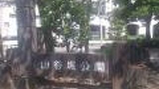 東京スカイツリーの隠れたビュースポット