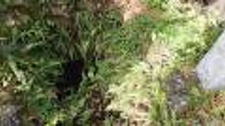 ちょっと紅葉も