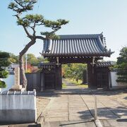 徳川吉宗生誕の地碑から南へとすぐ