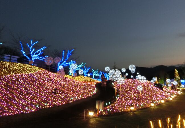 English Garden ローザンベリー多和田