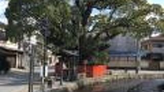 一間社流造は、賀茂別雷神社末社の造り方