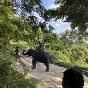 キャンプチャンカリム象のり