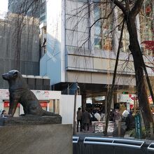 はちのまえには行列