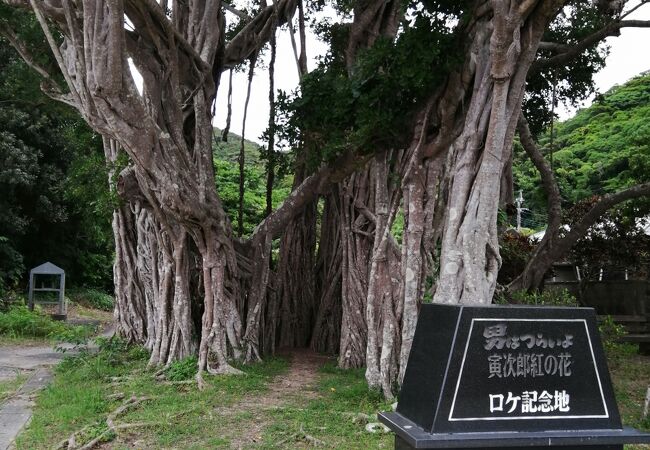 海岸線沿いの気持ちの良い場所にあります