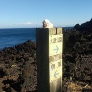 海岸遊歩道があります