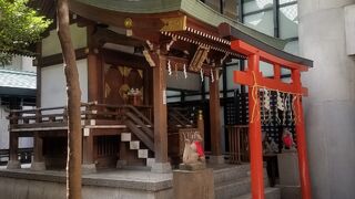 橙(ダイダイ)の木があったから