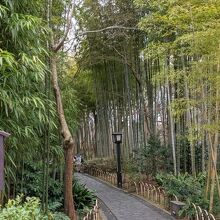 竹林の小径入口