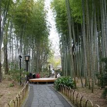 丸いテーブルで写真を撮る人が沢山