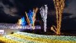 冬のイルミネーション