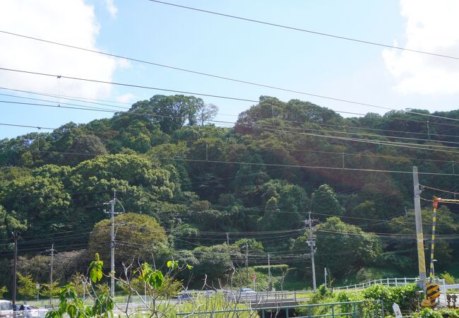 朝日山公園