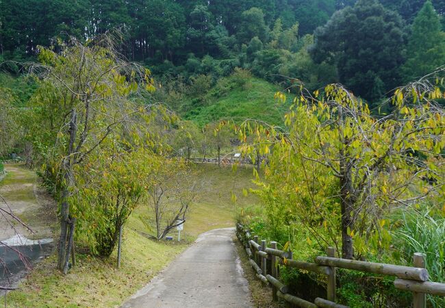 鎌倉時代から室町時代にかけての五輪塔や板碑など