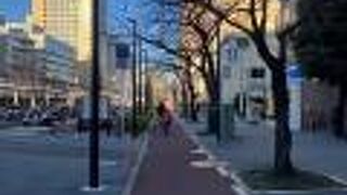 ここの桜の枝、ロードを覆うように伸びています。