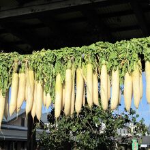 軒下に吊された大根がまるでのれんのよう