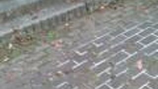 懐かしさを感じる事ができました