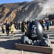 異空間、見て食べて楽しい