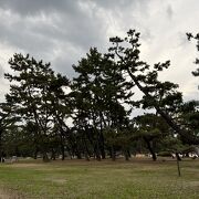 白砂青松の景色を今にとどめる公園。